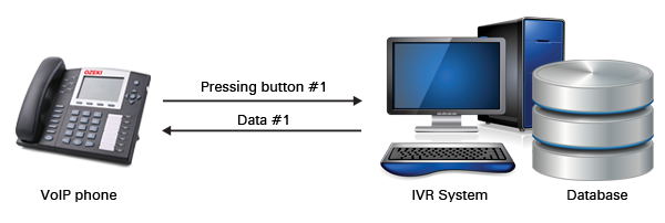 voip ivr database integration