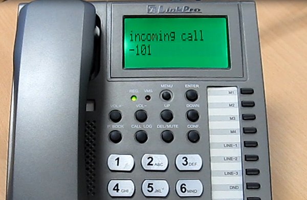 incoming call from the demo application