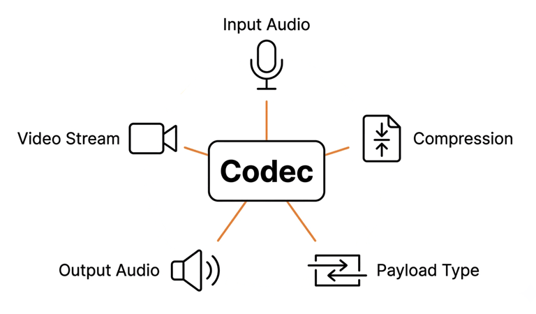 What is a codec