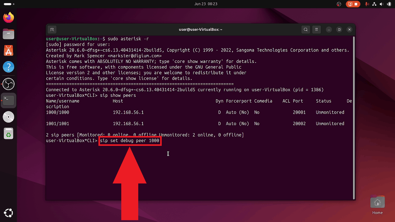 Debug peer